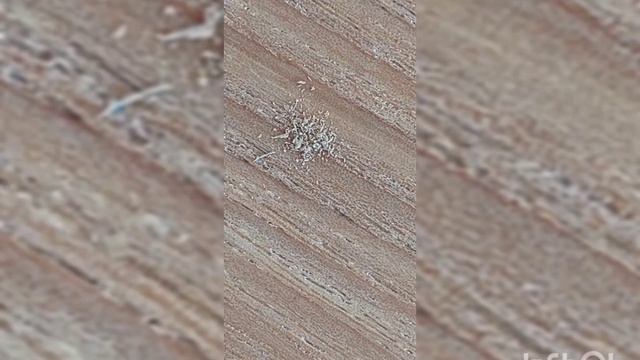 Реставрация финишной отделки цианоакрилатным клеем. смотреть онлайн