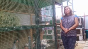 Муларды  разведение - мой пробный проект