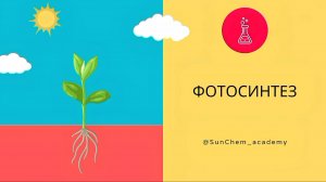 Фотосинтез