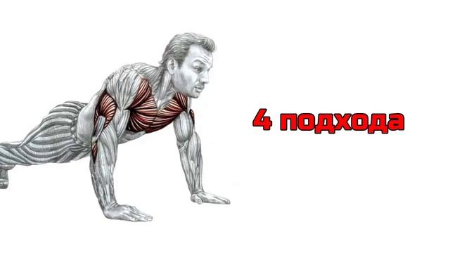 Программа отжиманий