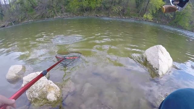 ЕВРОПЕЙСКИЕ МОНСТРЫ. Ловля голавля и жереха на спиннинг в Словении. смотреть онлайн