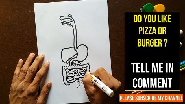 How to draw HUMAN DIGESTIVE SYSTEM step by step for kids смотреть онлайн