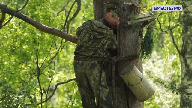 Правильные пчелы! Тайны заповедника Шульган-Таш. Заповедники РФ смотреть онлайн