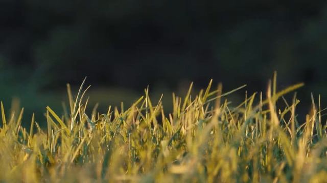 Дыхание ветра и энергия солнца. Лучшая музыка для релакса. смотреть онлайн