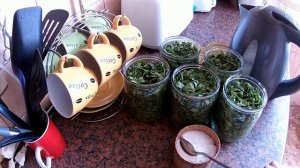 Щавель на зиму в банках