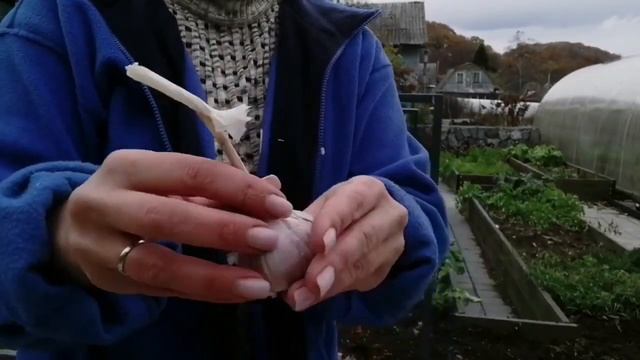 Готовим вкусно