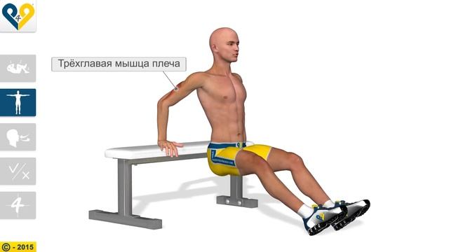 Как увеличить силу рук: Tricep bench dips смотреть онлайн