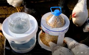 Кормушка и поилка из 10 л ведер и 5 л бутылок