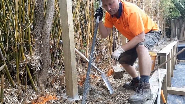 HOW TO REMOVE BAMBOO ROOTS FROM THE GROUND смотреть онлайн