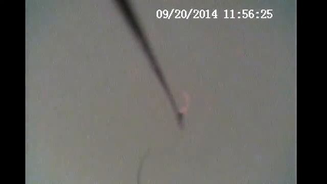 Отменная Рыбалка при помощи Видеоудочки смотреть онлайн