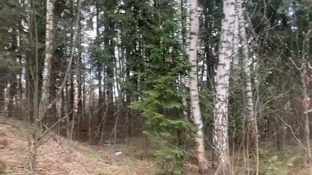Видео 1308 смотреть онлайн