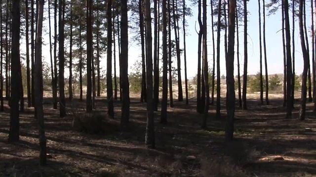 Красный Лиман, март 2014 смотреть онлайн