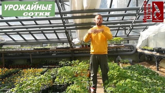 5 шагов к ЗАКАЛКЕ и тренировке рассады! Это можно делать по-новому!!! смотреть онлайн