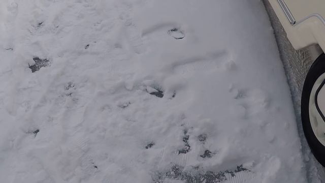 Автодом,жилой прицеп для проживания,караван,кемпер AVONDALE 2004 года с маленьким весом смотреть онлайн