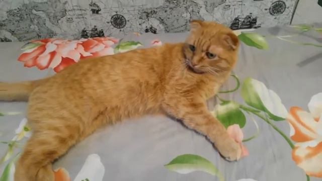 Мои вторые рисунки смотреть онлайн