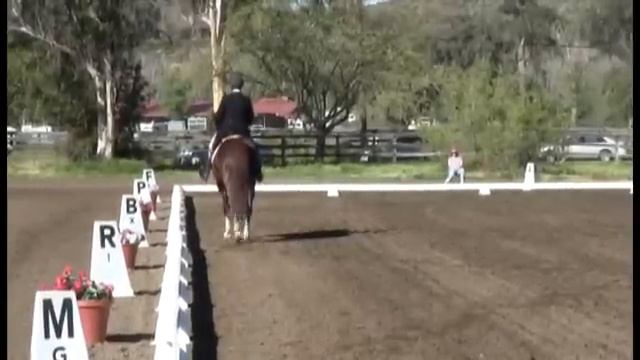 BRIDON BEALE STREET, R.I.D. "Liam" and John Michael Durr, Galway Downs 2011 смотреть онлайн