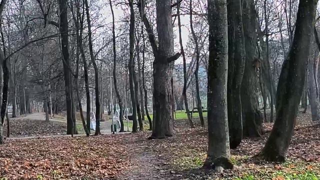 Основная камера Xiaomi 12T FullHD 30 FPS + gyro-EIS смотреть онлайн