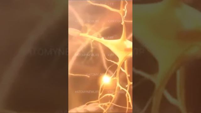 Что такое Хемохим и как он Вам поможет?