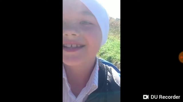 У Лукоморья дуб срубили!