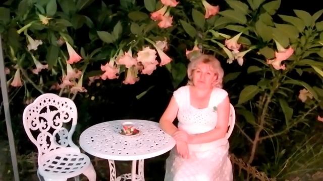 КАНАЛ "МАРИНА ЦВЕТЫ" - КАНАЛ О ЦВЕТОВОДСТВЕ, ДЕТКАХ И ВЯЗАНИИ смотреть онлайн