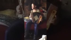 Белые розы на гармони