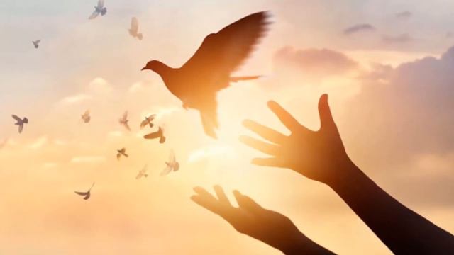 Позитивная песня 