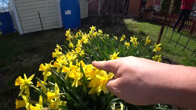 О цветах после зимы смотреть онлайн