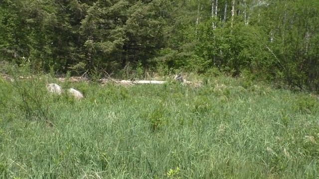 Архара. По Салокачам и обратно до Могилевки часть 3 смотреть онлайн