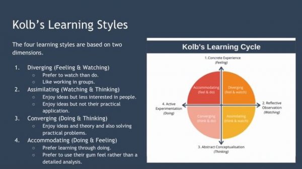 Kolb's Learning Cycle Explained with Example