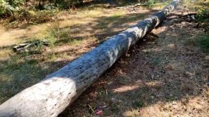 ✅?Топ 15 Самых Мощных ПЕТАРД?Тест Разных БОМБОЧЕК ?Какая Петарда Будет САМОЙ МОЩНОЙ?Сравнение Петар