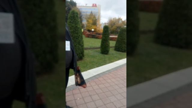 Тунеядцы Беларуси смотреть онлайн