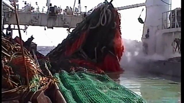 ЮгоВосток-1. Убегаем-догоняют.mp4