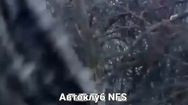 Автомобильные перспективы: протест-драйвы и обзоры моделей