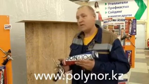 Полинор.POLYNOR