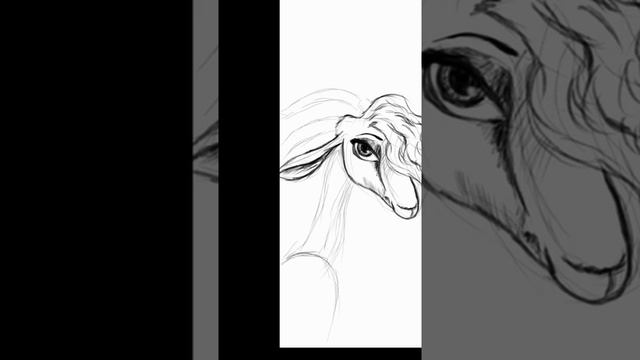 Gazelle - JPG's drawing exercise смотреть онлайн