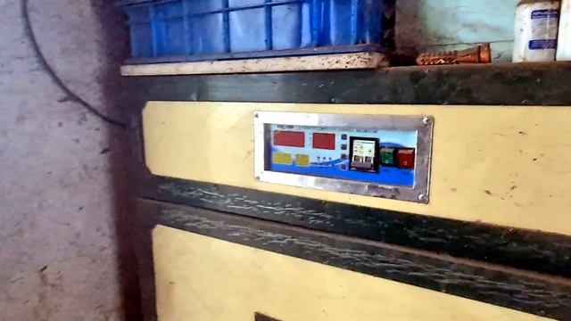 Сеем сидерат. Новые планы в птицеводстве. Дом строится. смотреть онлайн