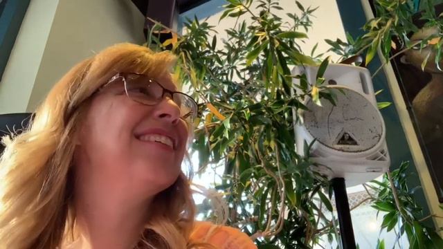 Open mic flute Jazz summertime paper moon смотреть онлайн