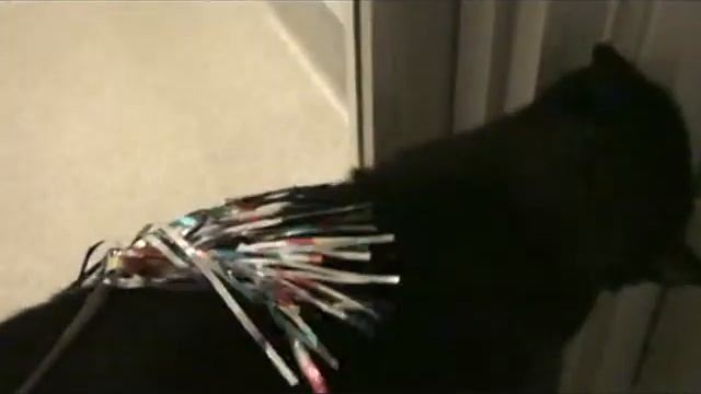 Seabass and the magic wand смотреть онлайн