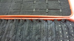 УЧИМСЯ СЕЯТЬ ПЕРЕЦ ПРАВИЛЬНО. Ольга Чернова.