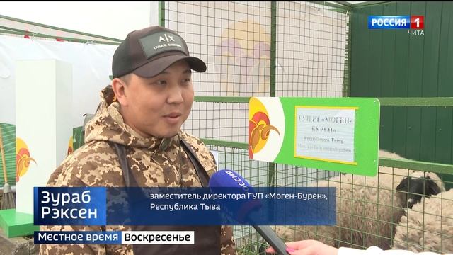 Снова на забайкальской земле: в Чите проходит 18-я Сибирско-Дальневосточная выставка овец и коз смотреть онлайн
