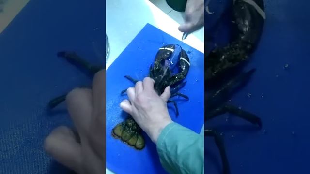 Секреты Творческой Силы