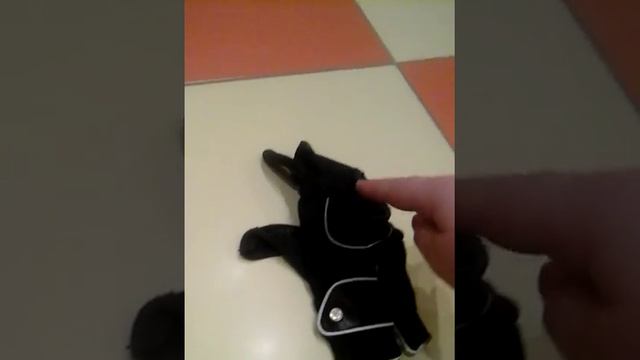 Обзор на старую экипировку для всадника смотреть онлайн