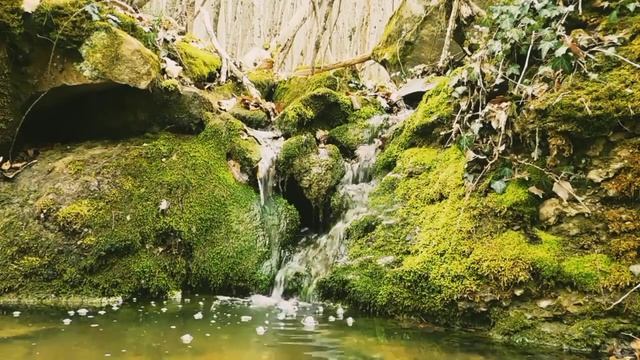 Звуки природы. Шум горного ручья. Расслабляющие звуки для релаксации, сна и отдыха 2 часа смотреть онлайн