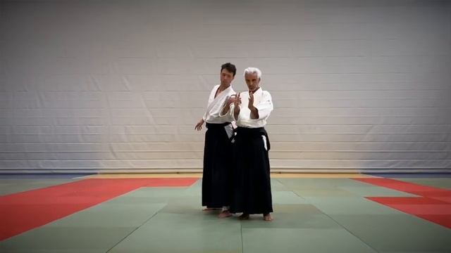 Aikido - Ai Hanmi katate dori смотреть онлайн