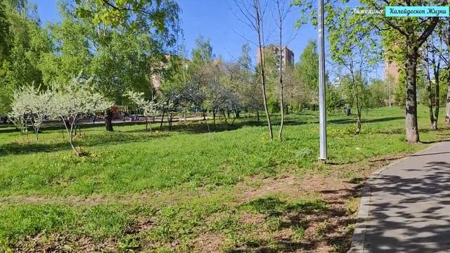 Цветущий май 2023. Гуляем по комсомольскому парку. Прогулки с Анжелиной по Рязани. смотреть онлайн
