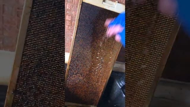 Как почистить решётку от вытяжки над плитой смотреть онлайн