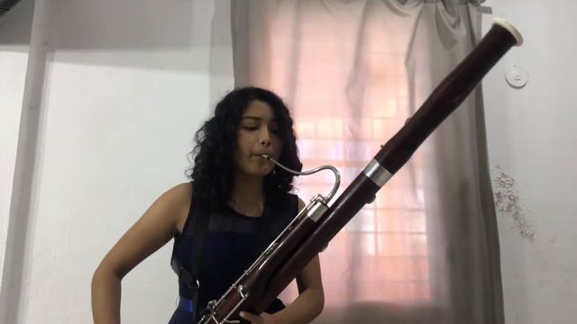 Antonin Kozeluch_Concierto para fagot en C mayor_I.Allegro смотреть онлайн