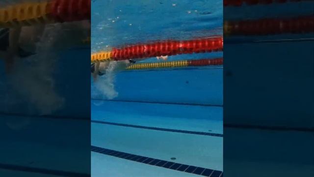 Соревнования среди детей по плаванию в фитнес клубе Port fitness, Екатеринбург 15.05.2021 смотреть онлайн