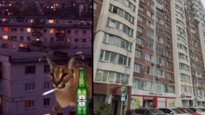 Твой дом это: