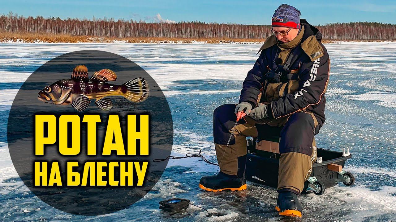 Ротан по первому льду. Уловистая блесна для ловли ротана зимой. Рыбалка в Тюмени смотреть онлайн